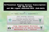 Differential Display-Reverse Transcription-PCR (DD-RT-PCR) and RNA Ligase mediated-RACE (RLM-RACE) By P.R. Rahul, Prasath D, Viswanathan R. Plant Pathology.