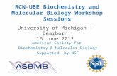 RCN-UBE Biochemistry and Molecular Biology Workshop Sessions American Society for Biochemistry & Molecular Biology Supported by NSF University of Michigan.