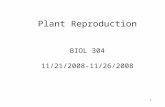 1 Plant Reproduction BIOL 304 11/21/2008-11/26/2008.