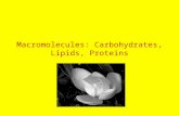 Macromolecules: Carbohydrates, Lipids, Proteins. What did you eat for breakfast today? Copyright © 2010 Ryan P. Murphy.