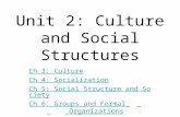 Unit 2: Culture and Social Structures Ch 3: Culture Ch 4: Socialization Ch 5: Social Structure and Society Ch 6: Groups and Formal Ch 6: Groups and Formal.