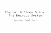 Chapter 8 Study Guide: The Nervous System Anatomy Bowl Prep.