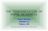 THE TRANSPORTATION OF HUMAN RESOURCES. “Human beings are not property.” Kofi Annan Secretary-General of the United Nations December 2, 2002 International.