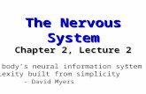 The Nervous System Chapter 2, Lecture 2 “Our body’s neural information system is complexity built from simplicity” - David Myers.