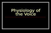 Physiology of the Voice. Anatomy and Physiology Anatomy relates to the describing and naming of various parts of the body; in this case, anatomy will.