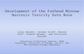 Development of the Fathead Minnow Narcosis Toxicity Data Base Larry Brooke 1, Gilman Veith 2, Daniel Call 3, Dianne Geiger 1, and Christine Russom 4 1.