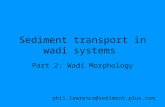 Sediment transport in wadi systems Part 2: Wadi Morphology phil.lawrence@sediment.plus.com.