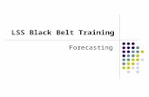 LSS Black Belt Training Forecasting. Forecasting Models Forecasting Techniques Qualitative Models Delphi Method Jury of Executive Opinion Sales Force.