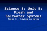 Science 8: Unit E: Fresh and Saltwater Systems Topic 5 – Living in Water.
