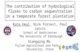 The contribution of hydrological fluxes to carbon sequestration in a temperate forest plantation Kate Heal, Nick Forrest, Paul Jarvis School of GeoSciences.