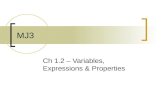 MJ3 Ch 1.2 – Variables, Expressions & Properties.