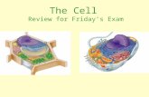 The Cell Review for Friday’s Exam. How do we know about cells?