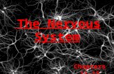 The Nervous System Chapters 11-15. General Overview Master controlling and communications system of the body Rapid & specific electrical impulses cause.