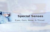 Special Senses Special Senses Eyes, Ears, Nose, & Throat.