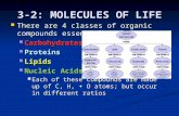 3-2: MOLECULES OF LIFE There are 4 classes of organic compounds essential to life: There are 4 classes of organic compounds essential to life: Carbohydrates.