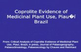 Coprolite Evidence of Medicinal Plant Use, Piau � í Brazil From: Critical Analysis of Coprolite Evidence of Medicinal Plant Use, Piauí, Brazil, in press,