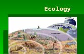 Ecology Ecology.  ECOLOGY- the branch of biology that studies the interactions between organisms and their environment. the branch of biology that studies.