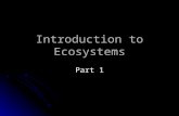 Introduction to Ecosystems Part 1. Ecology Eco = house or where someone lives. Eco = house or where someone lives. Logy = study Logy = study Study of.