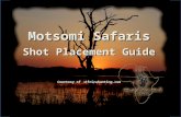 Motsomi Safaris Shot Placement Guide Courtesy of :Africahunting.com.