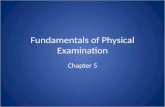 Fundamentals of Physical Examination Chapter 5. Physical Examination Inspection Palpation Percussion Auscultation.