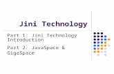 Jini Technology Part 1: Jini Technology Introduction Part 2: JavaSpace & GigaSpace.