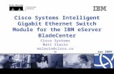 Cisco Systems Intelligent Gigabit Ethernet Switch Module for the IBM eServer BladeCenter Cisco Systems Matt Slavin mslavin@cisco.com Jan 2005.
