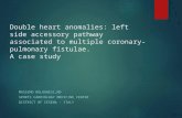 Double heart anomalies: left side accessory pathway associated to multiple coronary-pulmonary fistulae. A case study MASSIMO BOLOGNESI_MD SPORTS CARDIOLOGY.