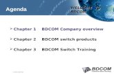 © 2005, BDCOM WELCOME TO BDCOM Professional Network Technology  Chapter 1 BDCOM Company overview  Chapter 2 BDCOM switch products  Chapter 3 BDCOM.