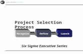 Six Sigma Executive Series Project Selection Process LaunchDefineRecognize.