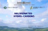 HALOGENATED HYDRO-CARBONS Authors: Dr. Bajnóczy Gábor Kiss Bernadett Tonkó Csilla BUDAPEST UNIVERSITY OF TECHNOLOGY AND ECONOMICS DEPARTMENT OF CHEMICAL.
