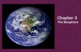 Chapter 3 The Biosphere. 3-1 What is Ecology? Ecology is the scientific study of interactions among organisms and between organisms and their environment,
