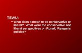 TSWU: –What does it mean to be conservative or liberal? What were the conservative and liberal perspectives on Ronald Reagan’s policies?