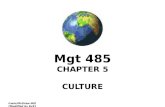 Irwin/McGraw-Hill [Modified by EvS] Mgt 485 CHAPTER 5 CULTURE.