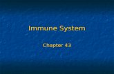 Immune System Chapter 43. Introduction to the Immune System The human body must defend itself against unwelcome intruders. The human body must defend.