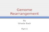 Genome Rearrangement By Ghada Badr Part II. 2  Genomes can be modeled by each gene can be assigned a unique number and is exactly found once in the genome.