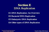 Section D: Chromosome Structure Section E: DNA replication Yang Xu, College of Life Sciences Section E DNA Replication E1 DNA Replication: An Overview.