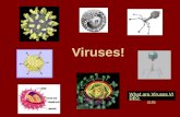 Viruses! What are Viruses VIDEO (3:35 ). It did not take doctors long to find out that the medicines that are usually used to fight bacterial diseases.