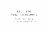 ESD. S40 Peer Assessment Prof. Dov Dori Dr. Niva Wengrowicz.