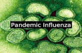 Pandemic Influenza. Influenza Outbreaks yearly, usually in winter months Outbreaks yearly, usually in winter months Illness more severe for very young,
