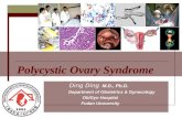 Polycystic Ovary Syndrome Ding Ding M.D., Ph.D. Department of Obstetrics & Gynecology Ob/Gyn Hospital Fudan Unoversity.