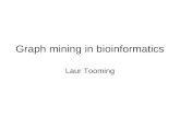 Graph mining in bioinformatics Laur Tooming. Graphs in biology Graphs are often used in bioinformatics for describing processes in the cell Vertices are.