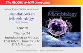 Foundations in Microbiology Sixth Edition Chapter 24 Introduction to Viruses That Infect Humans: The DNA Viruses Lecture PowerPoint to accompany Talaro.