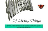 Of Living Things Part 2: A brief overview of the current classification system through the 5 kingdoms.