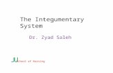 The Integumentary System Dr. Zyad Saleh JU School of Nursing.