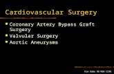 Kim Uddo RN MSN CCRN Cardiovascular Surgery Coronary Artery Bypass Graft Surgery Valvular Surgery Aortic Aneurysms.