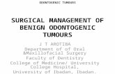 SURGICAL MANAGEMENT OF BENIGN ODONTOGENIC TUMOURS J T AROTIBA Department of of Oral &Maxillofacial Surgery Faculty of Dentistry College of Medicine/ University.