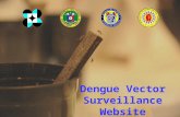 Dengue Vector Surveillance Website. Objectives of the Project Maintain, update and enhance website for dengue vector surveillance in participating schools.