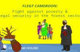 FLEGT CAMEROON: Fight against poverty & legal security in the forest sector.