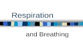 Respiration and Breathing. Anatomy Know the pathway for inhaled and exhaled air in the respiratory system Know terms such as nasal cavity, oral cavity,