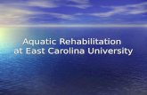 Aquatic Rehabilitation at East Carolina University.